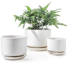 Tauci ceramic plant for sale  Haltom City