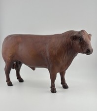 red angus bulls for sale  Salem