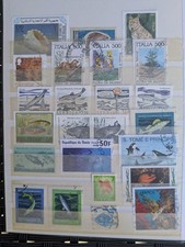 Album francobolli animali usato Album francobolli animali usato  Pinerolo