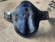 Fairfax short stud for sale  DROITWICH