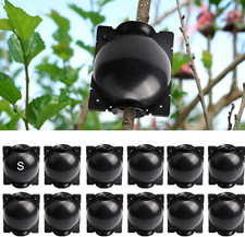 Pcs plant root for sale  West Palm Beach
