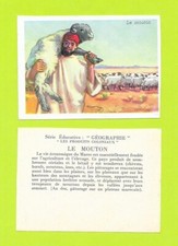 Vignette mouton d'occasion  Nancy-