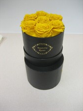 Beautylasting rose flowers for sale  Chestnut Hill