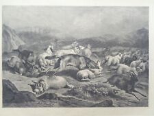 Grande gravure ancienne d'occasion  Douarnenez