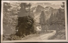 1930 gruppo ortler usato  Milano