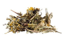 Tagetes lucida yauhtli gebraucht kaufen  Berlin