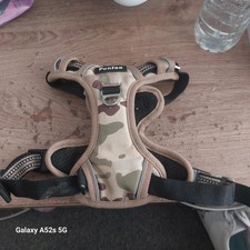Funfox dog harness for sale  HAYLING ISLAND