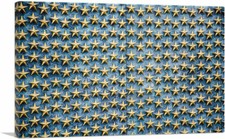 Artcanvas star monument for sale Artcanvas star monument for sale  Niles