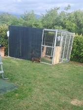 Gabbia stallo per usato  Barga
