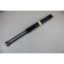 Ammortizzatore portellone baul usato  Vajont