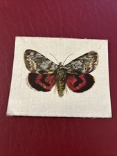 Lea butterflies moths for sale  THIRSK