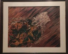 Giacometti öl sign gebraucht kaufen Giacometti öl sign gebraucht kaufen  Neuruppin