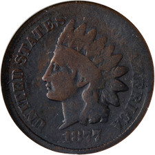 1877 indian cent for sale  USA