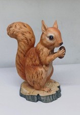 English red squirrel for sale  LEICESTER