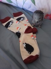 Bnwot cute small for sale  PAIGNTON