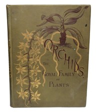 Orchids royal family for sale  STIRLING