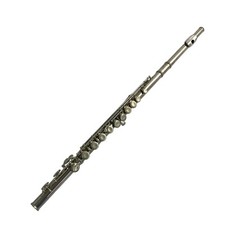 Instrumento de flauta Muramatsu M-70 1970 sem série usado N10084775 comprar usado  Enviando para Brazil
