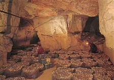 Anjou touraine cave d'occasion  France