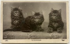 Antique 1911 cat for sale  Pflugerville