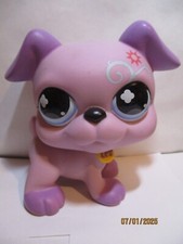 Petshop xxl chien d'occasion Petshop xxl chien d'occasion  Bailleul