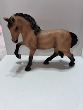 2009 stallion horse for sale  THORNTON-CLEVELEYS