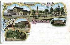 Litho gruss seesen gebraucht kaufen  Berlin
