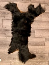black bearskin rug for sale  Minocqua