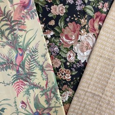 Interior designer bird for sale  Kansas City