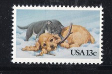 2025 cat dog for sale  Palm Bay
