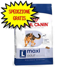 Royal canin maxi usato  San Felice Circeo