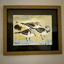 Original peter barrett for sale  WARWICK