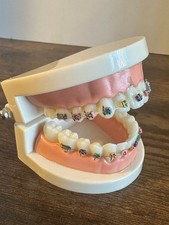 Dental typodont orthodontic for sale  Cathedral City