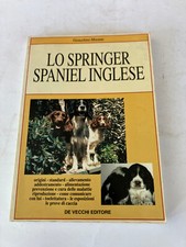 Springer spaniel inglese usato  Mel
