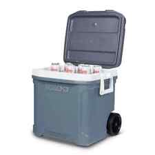 Igloo maxcold quart for sale  OLDHAM