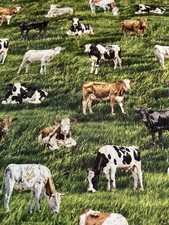 Cows calves baby for sale  Mound City