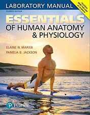 Essentials of Human Anatomy & - Spiral-bound, by Marieb Elaine; Jackson - Good o segunda mano  Embacar hacia Argentina