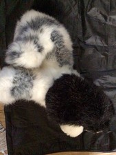 Lovley black white for sale  BIRMINGHAM