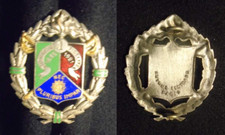 Insigne militaire régiment d'occasion  Meung-sur-Loire