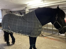 kavalkade decke gebraucht kaufen kavalkade decke gebraucht kaufen  Vreden