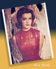 romy schneider robert lebeck gebraucht kaufen  München