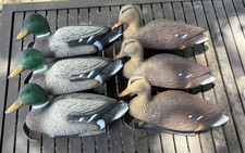 Lot flambeau mallard for sale  Mesa