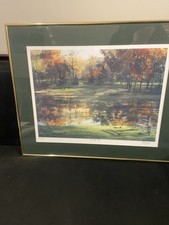 Tom lynch watercolor for sale  Berwyn