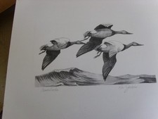 1965 federal duck for sale  Coloma