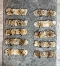Canada goose coyote for sale  UK