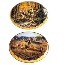 Bradford trail whitetail for sale  Burton