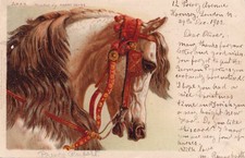 Animal life tuck for sale  CALDICOT