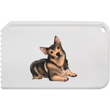 Swedish vallhund relaxing for sale  UK