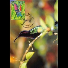 Cef colibri grenat d'occasion  Crécy-la-Chapelle