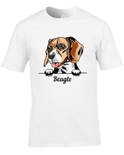 Beagle scent hound for sale  ENFIELD