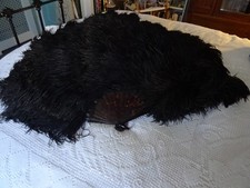 Fabulous antique tortoishell for sale  WHITLEY BAY